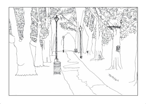 Pen and ink drawing of an avenue of trees in Highbury Fields, part of the Drawing my way round London series